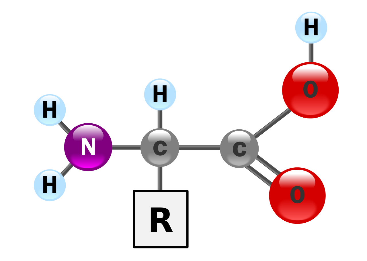 P-VitazymeENZYMES, MINERALS & VITAMINS